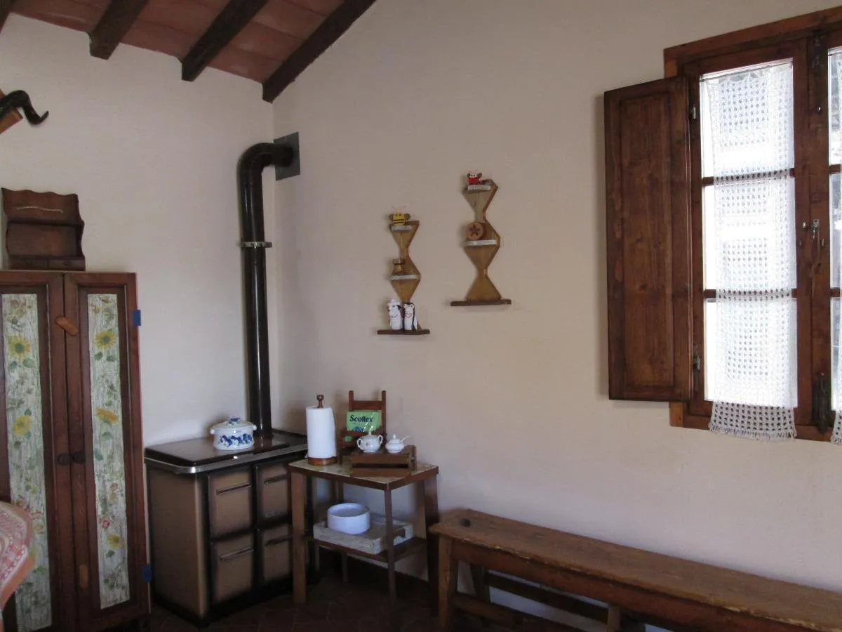 foto n 18.webp